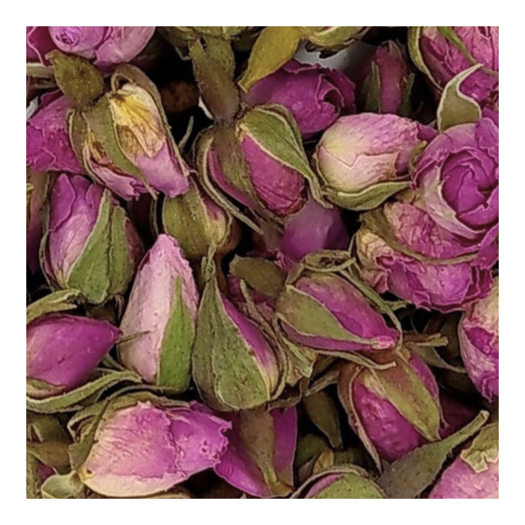 Boutons de rose (à tête blanche)