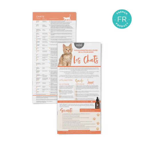 Inspiratiekaart ‘Katten A-Z’ - FRANS
