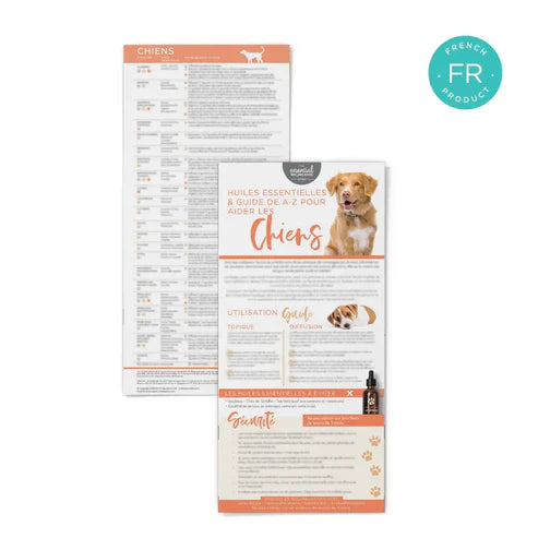 Inspiratiekaart ‘Honden A-Z’ - FRANS