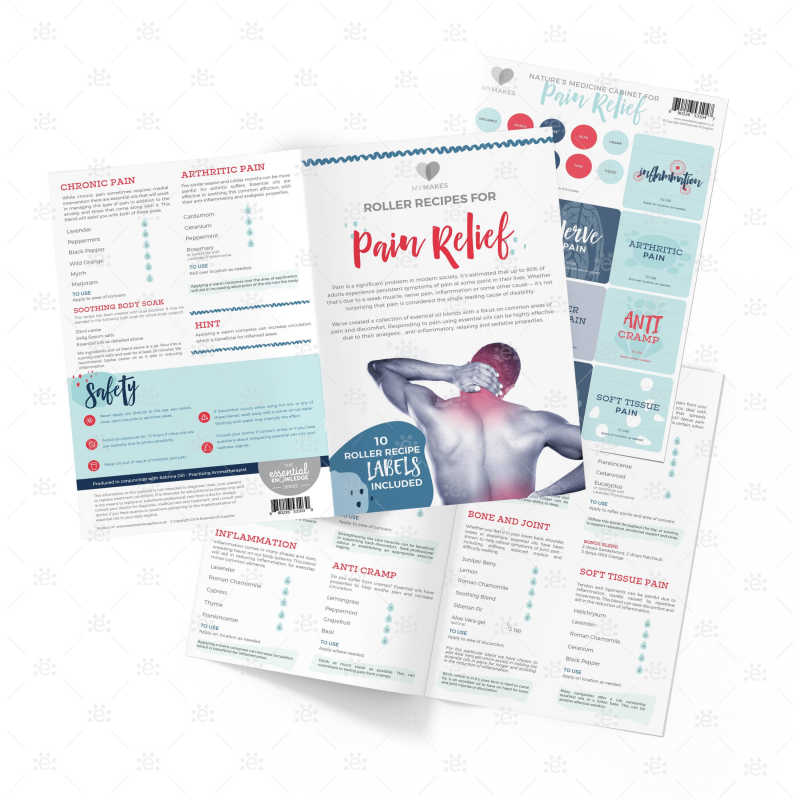 MyMakes set: Pain (Engels)