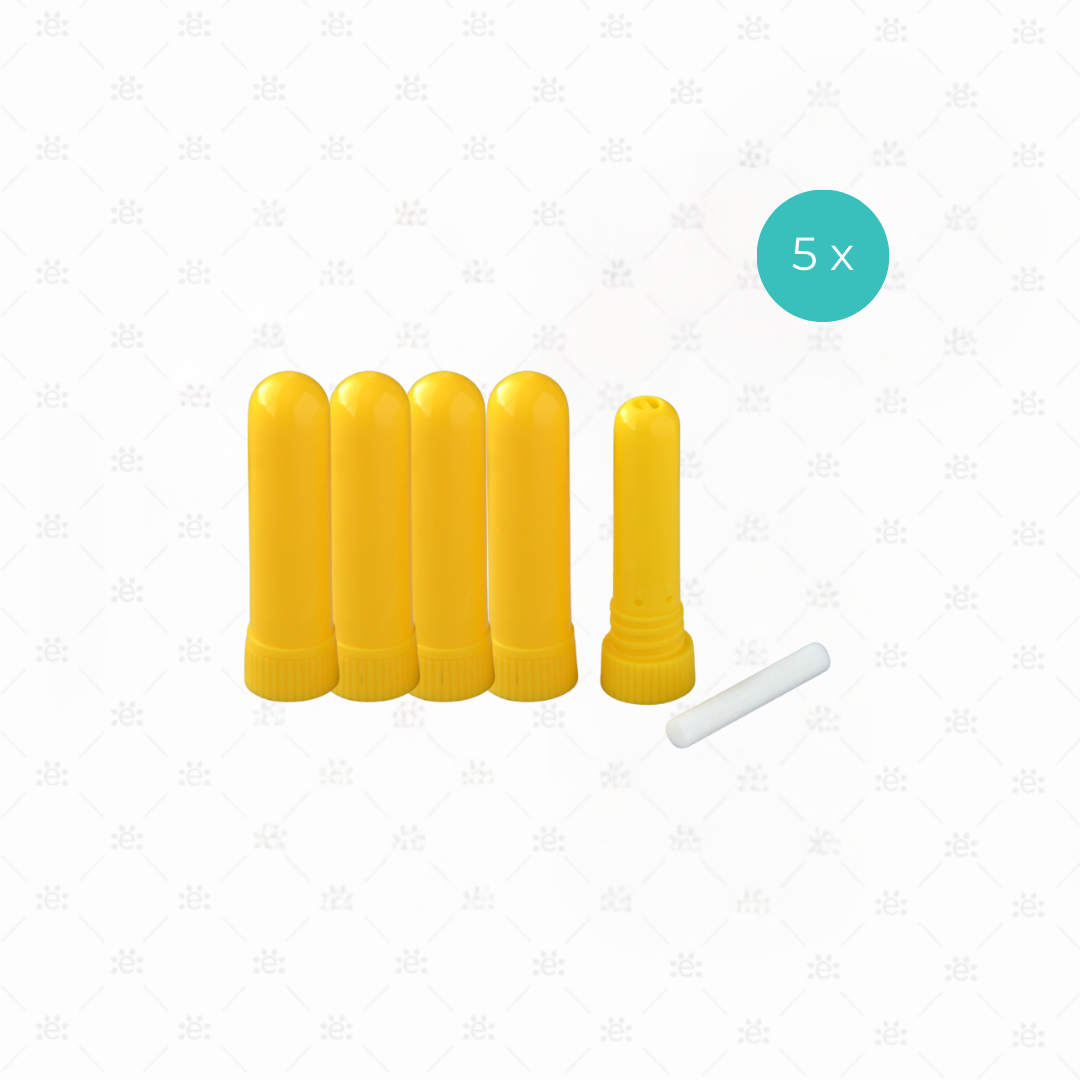 Inhalateurs nasaux gels (5 pièces)